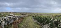 PICTURES/Innishmore - Dun Eoghanachta & Dun Aonghas Stone Forts/t_20250917_113840.jpg